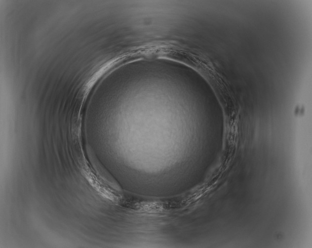 X0000113360100200909221209