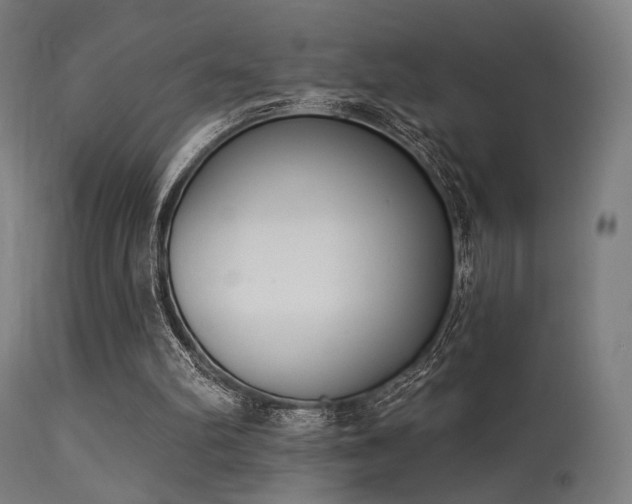 X0000113360102200909221209