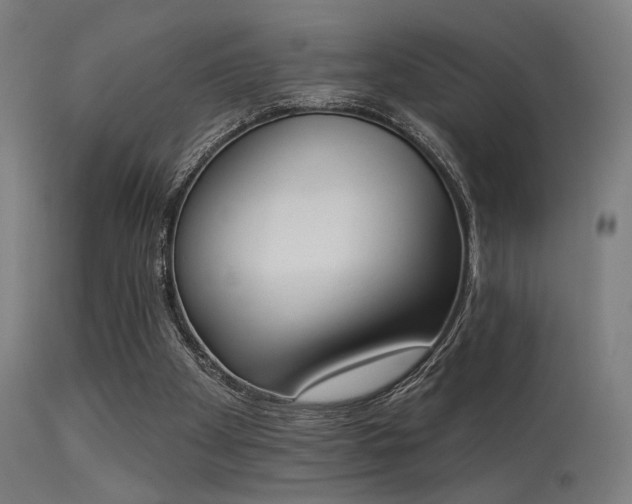 X0000113360105200909221209