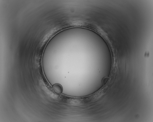 X0000113360106200909221209