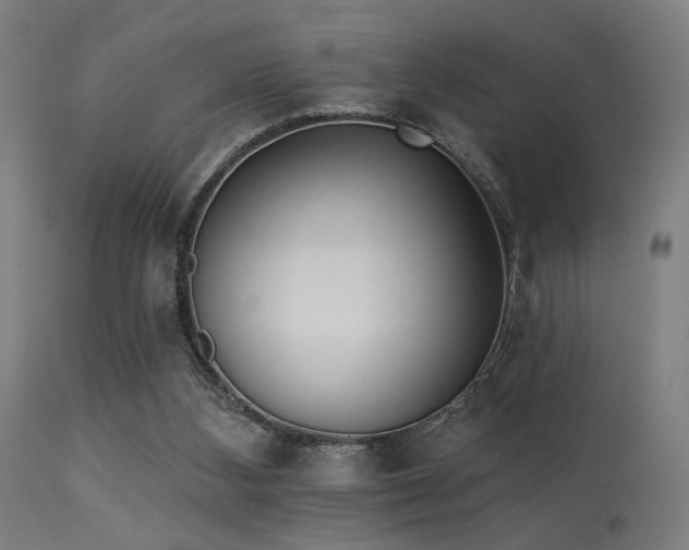 X0000113360108200909221209