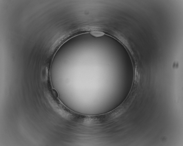 X0000113360109200909221209