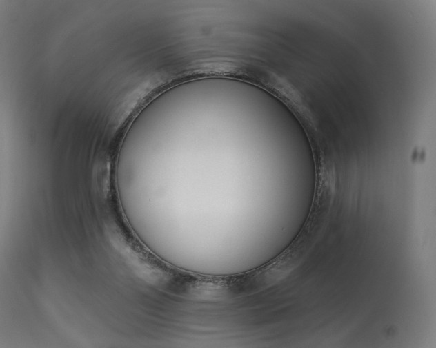 X0000113360110200909221209