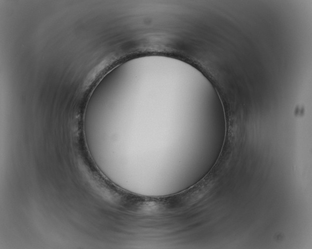 X0000113360111200909221209