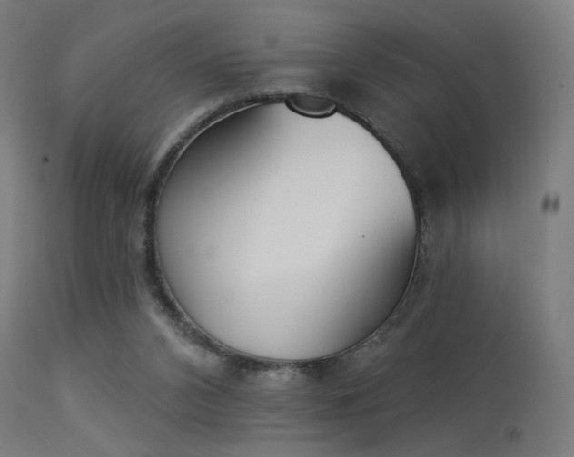 X0000113360112200909221209