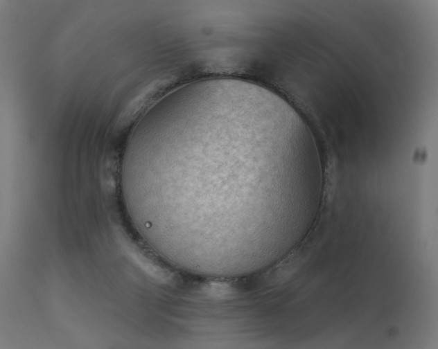 X0000113360114200909221209