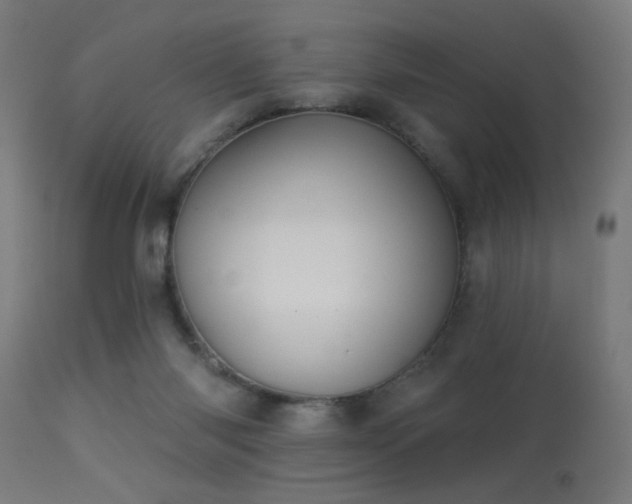 X0000113360118200909221208