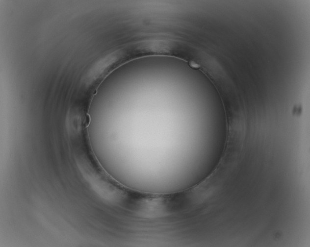X0000113360120200909221208