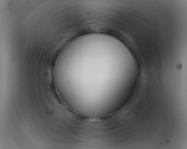 X0000113360121200909221208
