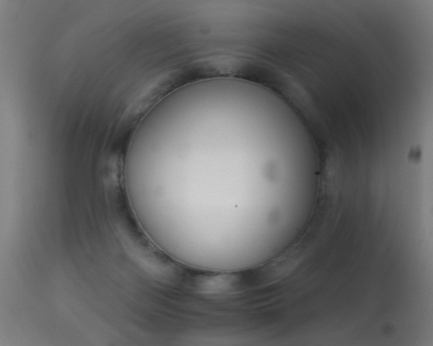 X0000113360122200909221208