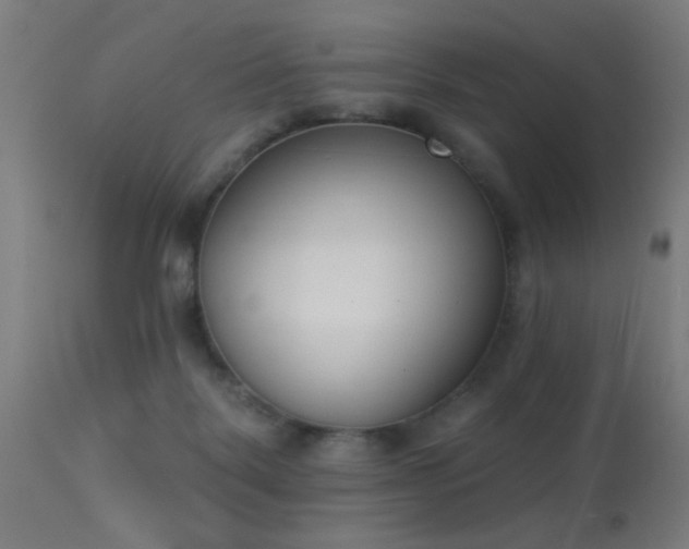 X0000113360123200909221208