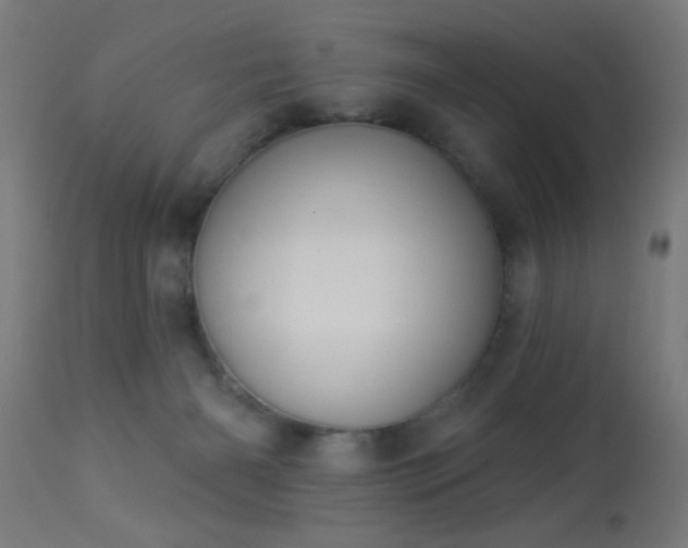 X0000113360126200909221208