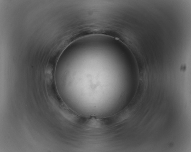 X0000113360127200909221208