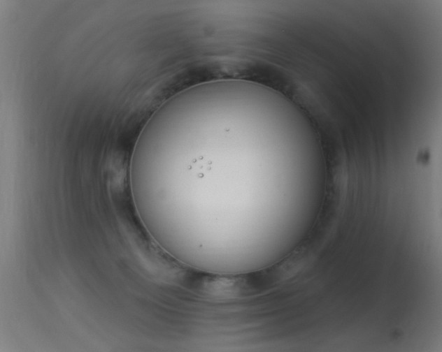 X0000113360129200909221208