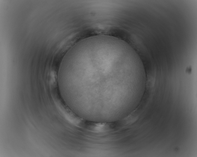 X0000113360130200909221208