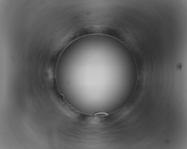 X0000113360131200909221208