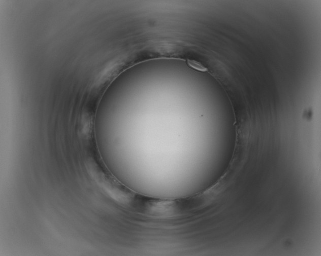 X0000113360132200909221208