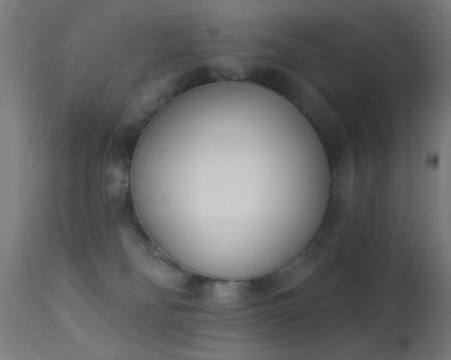 X0000113360134200909221208