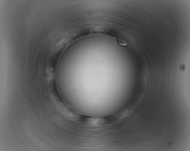 X0000113360135200909221208