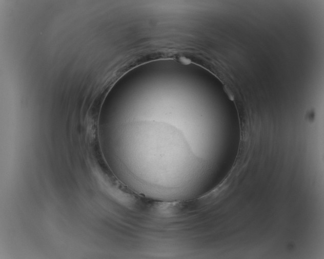 X0000113360136200909221208