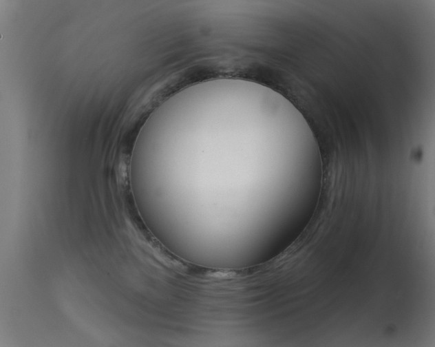 X0000113360137200909221208