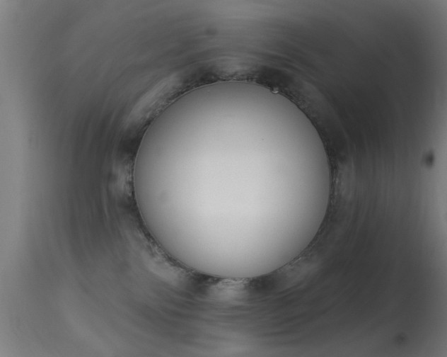 X0000113360138200909221208
