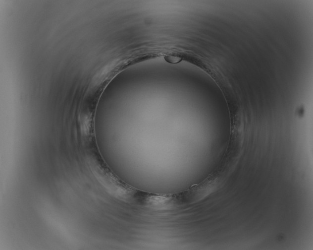 X0000113360139200909221208