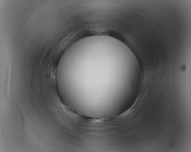 X0000113360140200909221208