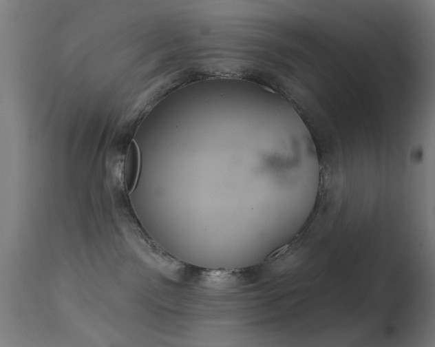 X0000113360141200909221208