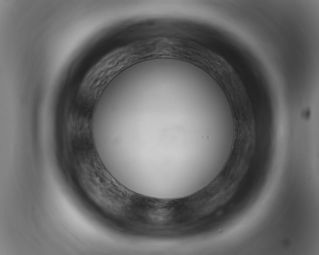 X0000113360142200909221208