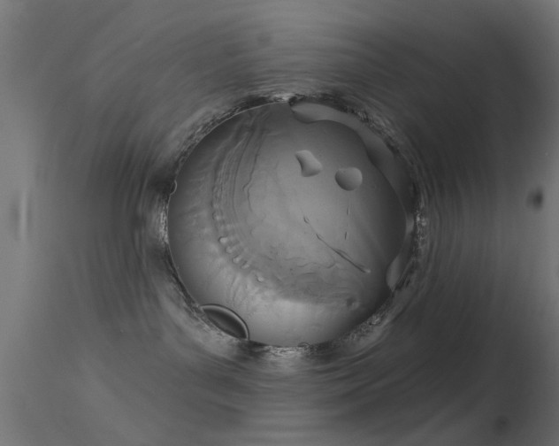 X0000113360143200909221208