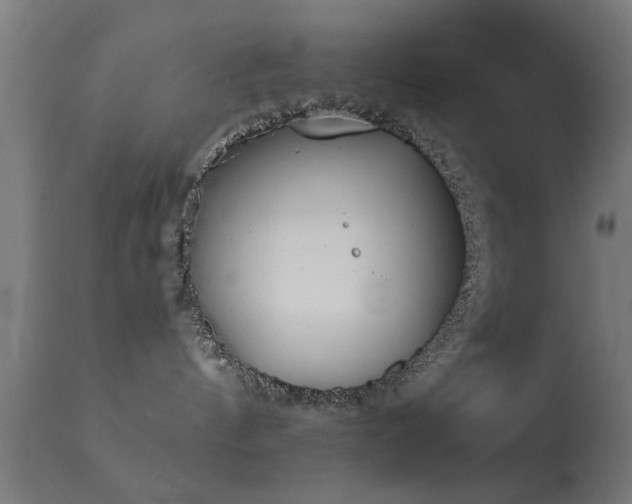 X0000113360144200909221208