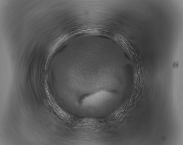 X0000113360145200909221207