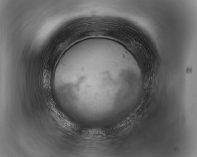 X0000113360146200909221207