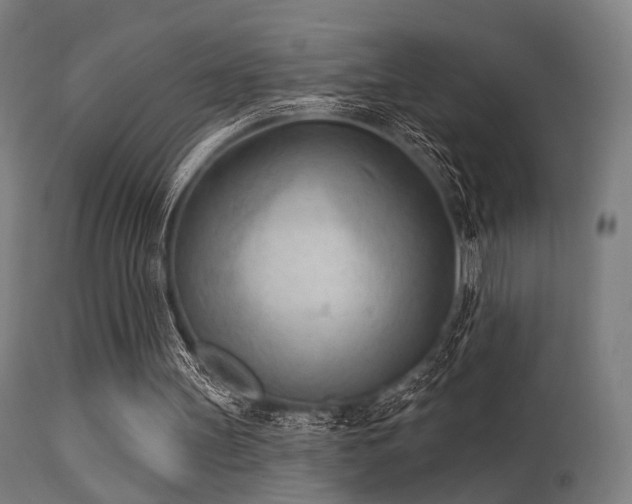 X0000113360147200909221207
