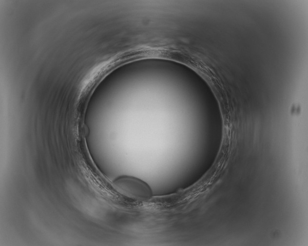 X0000113360149200909221207