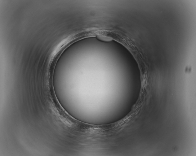 X0000113360150200909221207