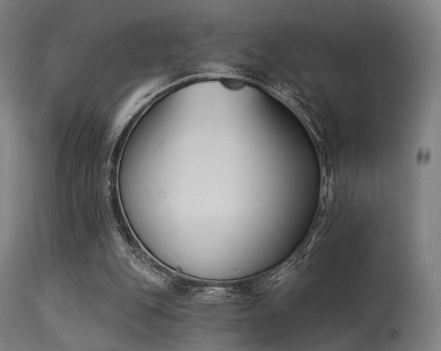 X0000113360151200909221207