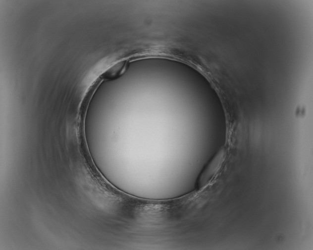 X0000113360152200909221207