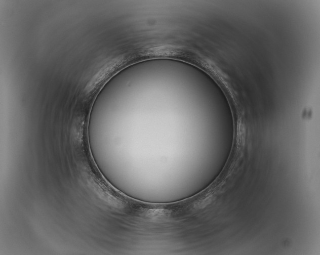 X0000113360153200909221207