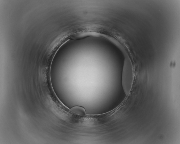 X0000113360154200909221207