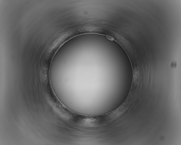 X0000113360158200909221207