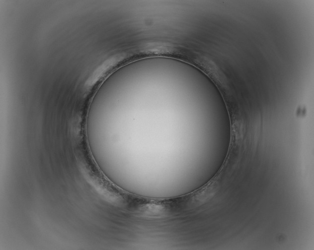 X0000113360159200909221208