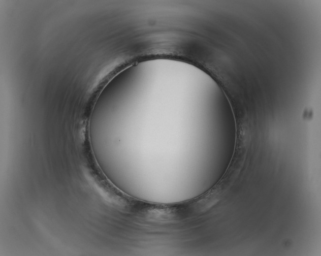 X0000113360160200909221208