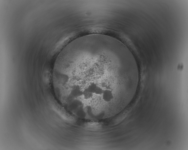 X0000113360161200909221208