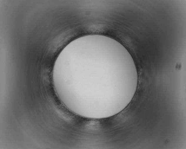 X0000113360162200909221208