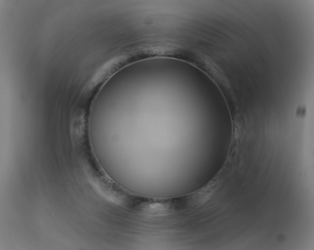 X0000113360163200909221208