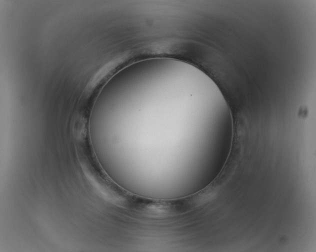 X0000113360164200909221208
