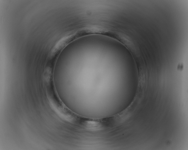 X0000113360167200909221208