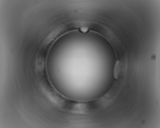 X0000113360168200909221208